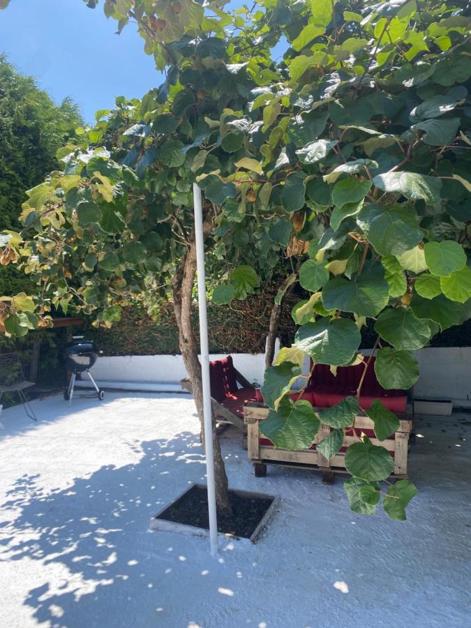 Casita Rustica Daire Cambre Dış mekan fotoğraf